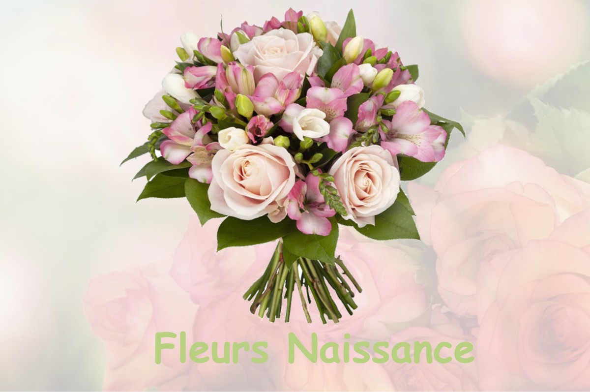 fleurs naissance FOLCARDE