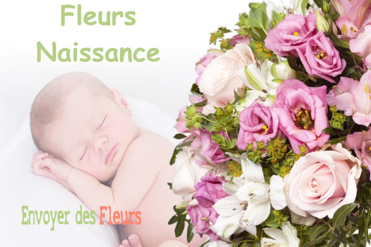 lIVRAISON FLEURS NAISSANCE à FOLCARDE